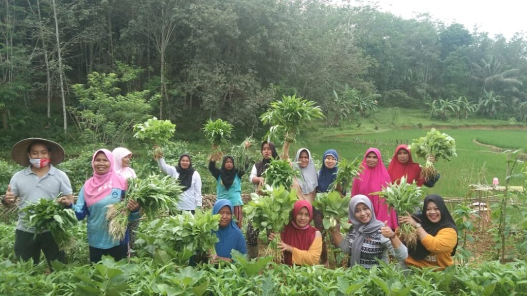 IMG 20201220 WA0008 Warga Sukaraja Peroleh Profit dari Swasembada Pangan PROKALTIM