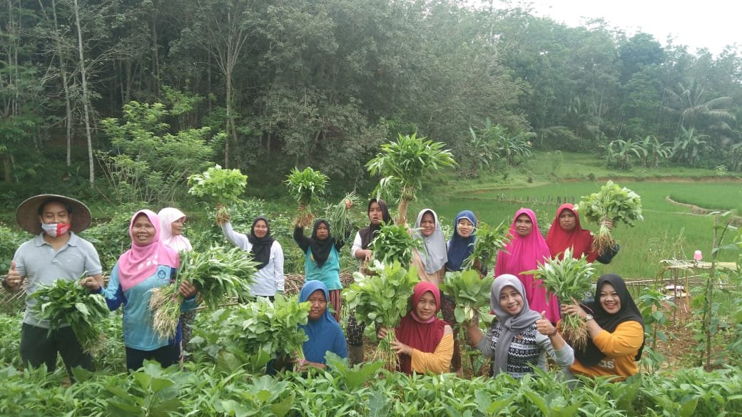 Warga Sukaraja Peroleh Profit dari Swasembada Pangan