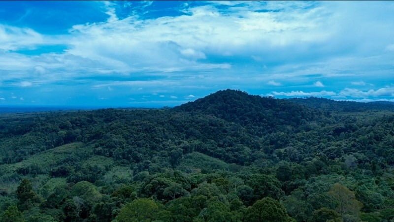 KALTIM SIAP PEROLEH INSENTIF PENGURANGAN EMISI GAS RUMAH KACA