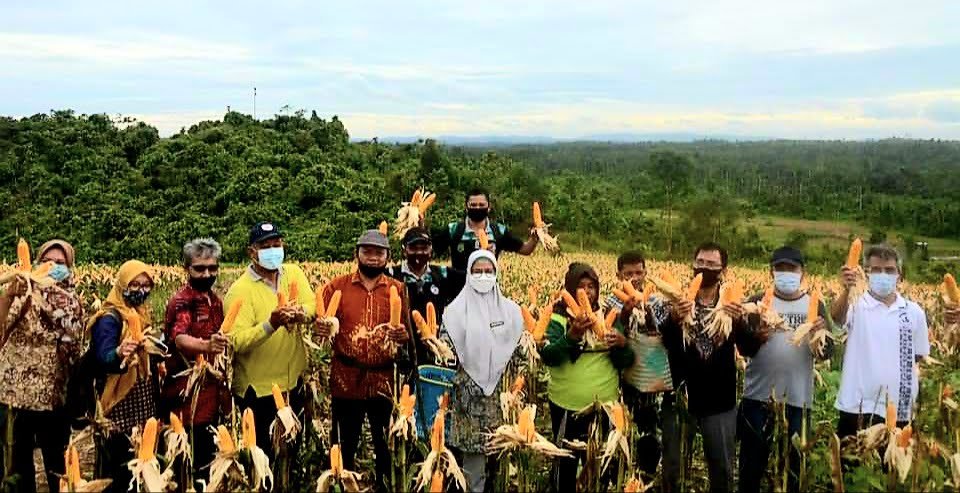 20210115 190307 Kadis DPTPH Kaltim Panen Kegiatan Pertanian Keluarga di Kutim PROKALTIM