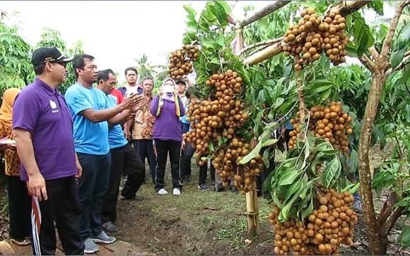 Kembangkan Agro Wisata, Masata Kaltim Kunjungi Dinas Pangan Tanaman Pangan dan Hortikultura Kaltim