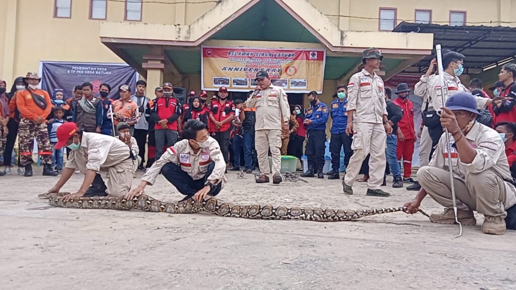 IMG 20210202 WA0011 Milad Pertama, Relawan Siaga Batuah Gelar Penanganan Hewan Berbisa PROKALTIM