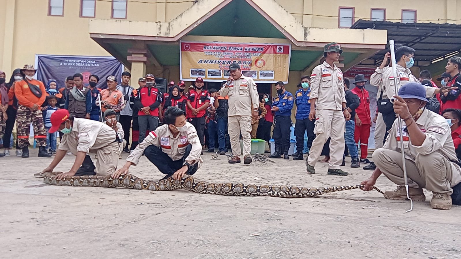 Milad Pertama, Relawan Siaga Batuah Gelar Penanganan Hewan Berbisa