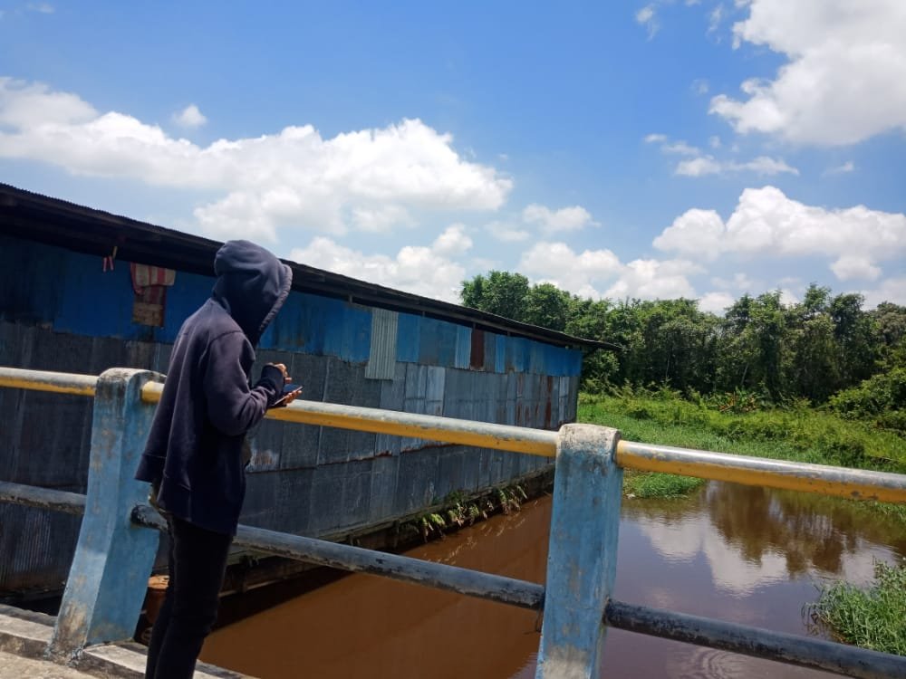 Buaya Muncul, Warga Ketakutan, Sering Makan Sisa Hasil Limbah Pemotongan Ayam