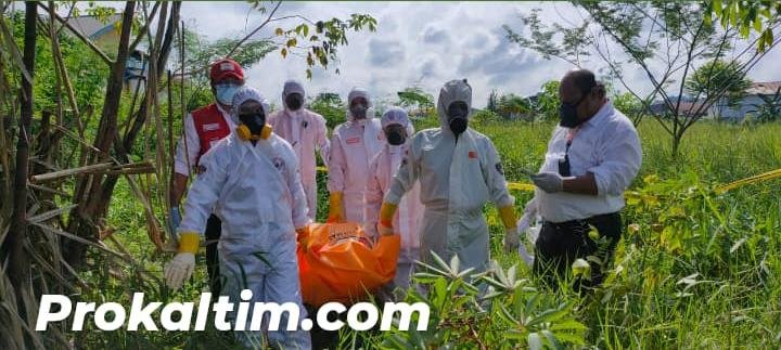 WhatsApp Image 2021 06 27 at 23.20.29 Mr X Tergantung di Pohon Singkong, Jerat Tali Pinggang Hitam Jadi Ciri PROKALTIM