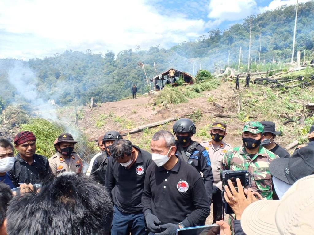 WhatsApp Image 2021 07 01 at 21.33.03 7 Haktare Ladang Ganja Di Gunung Lauser Dimusnahkan PROKALTIM