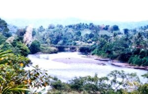 WhatsApp Image 2021 08 04 at 08.20.43 Menelusuri Jejak Rumah Panjang Suku Dayak dan Kehidupan di Apau Kayan PROKALTIM