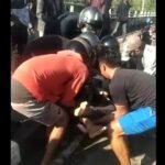 Dua Pria Tewas, Tabrakan Adu Banteng