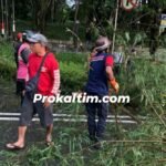 Pengendara Motor Tewas, Tabrak Pohon, Ditemukan Tergeletak