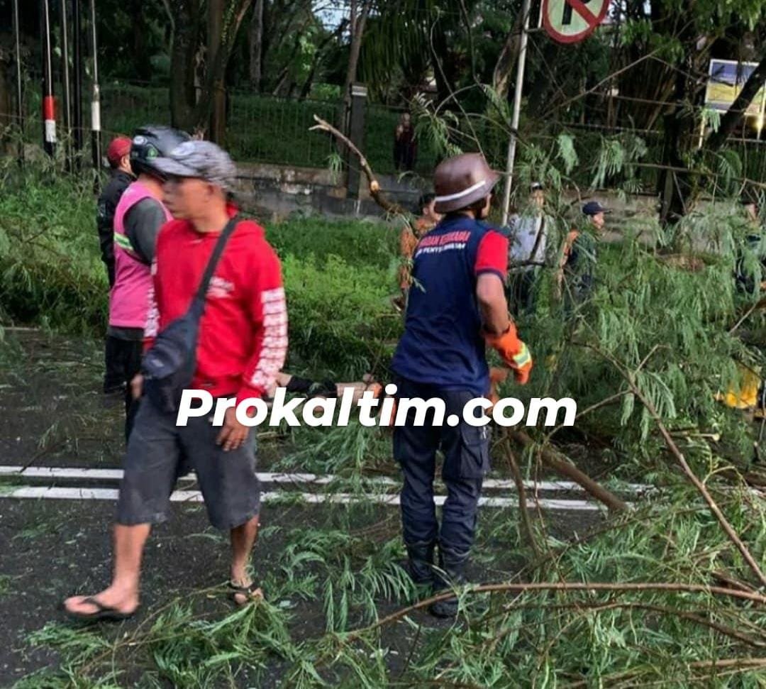 WhatsApp Image 2021 09 12 at 03.44.48 Pengendara Motor Tewas, Tabrak Pohon, Ditemukan Tergeletak PROKALTIM