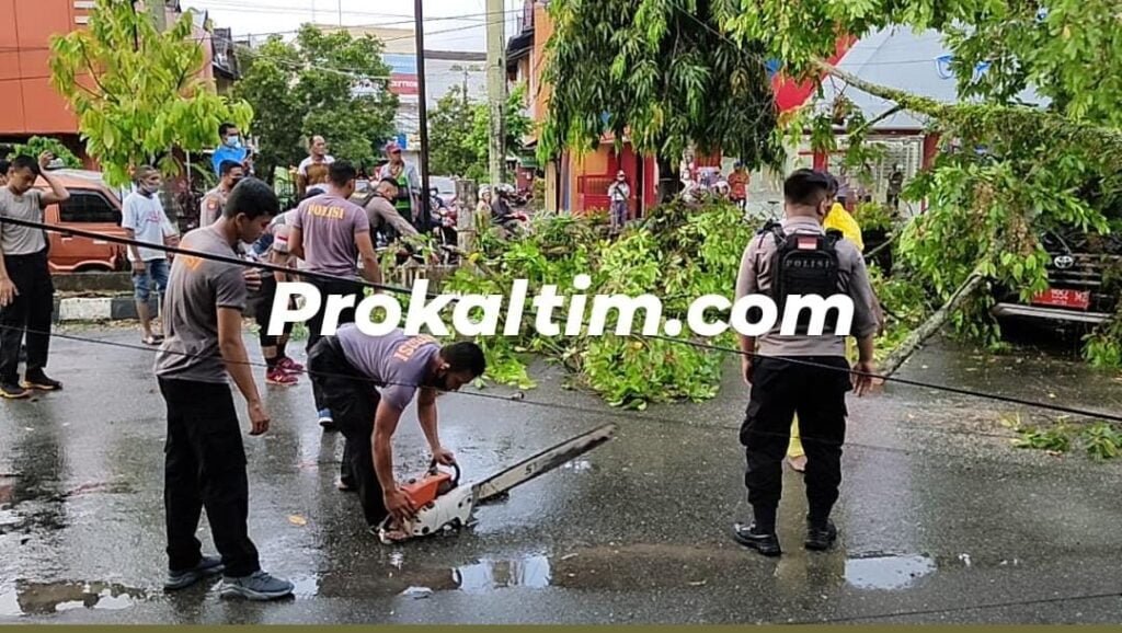 WhatsApp Image 2021 10 15 at 16.04.19 Pohon Tumbang, Antisipasi Gangguan, Polisi Sinergi Disdamkar PROKALTIM