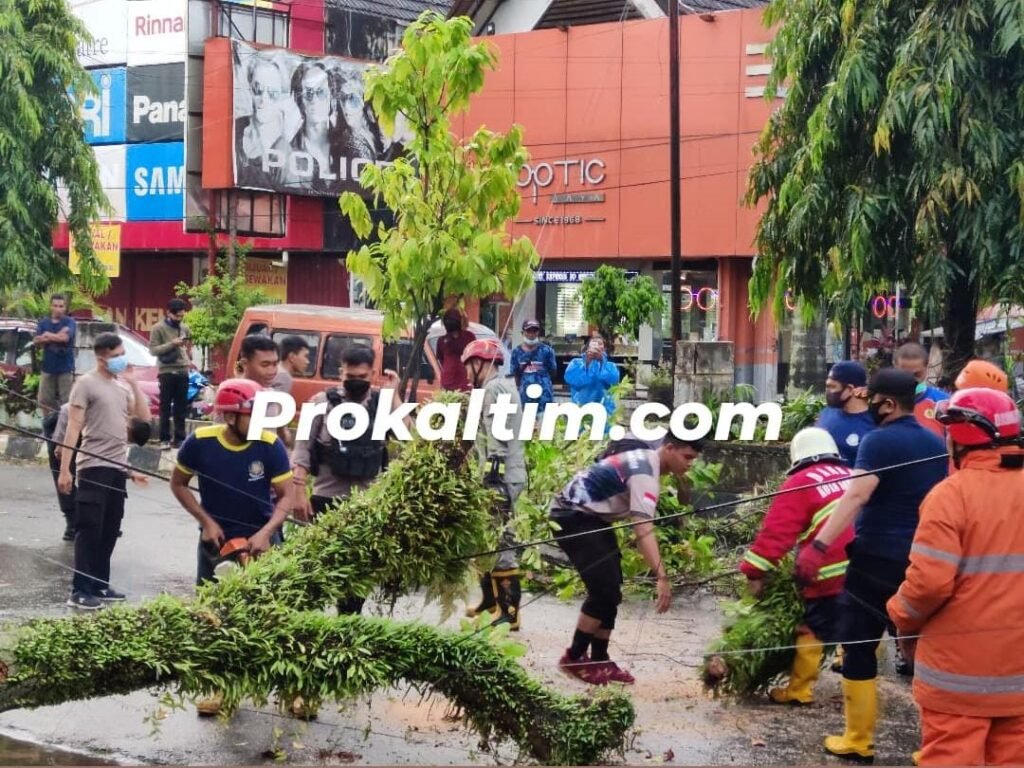 WhatsApp Image 2021 10 15 at 16.04.50 Hujan Deras, Pohon Tumbang, Rusak 2 Mobil PROKALTIM