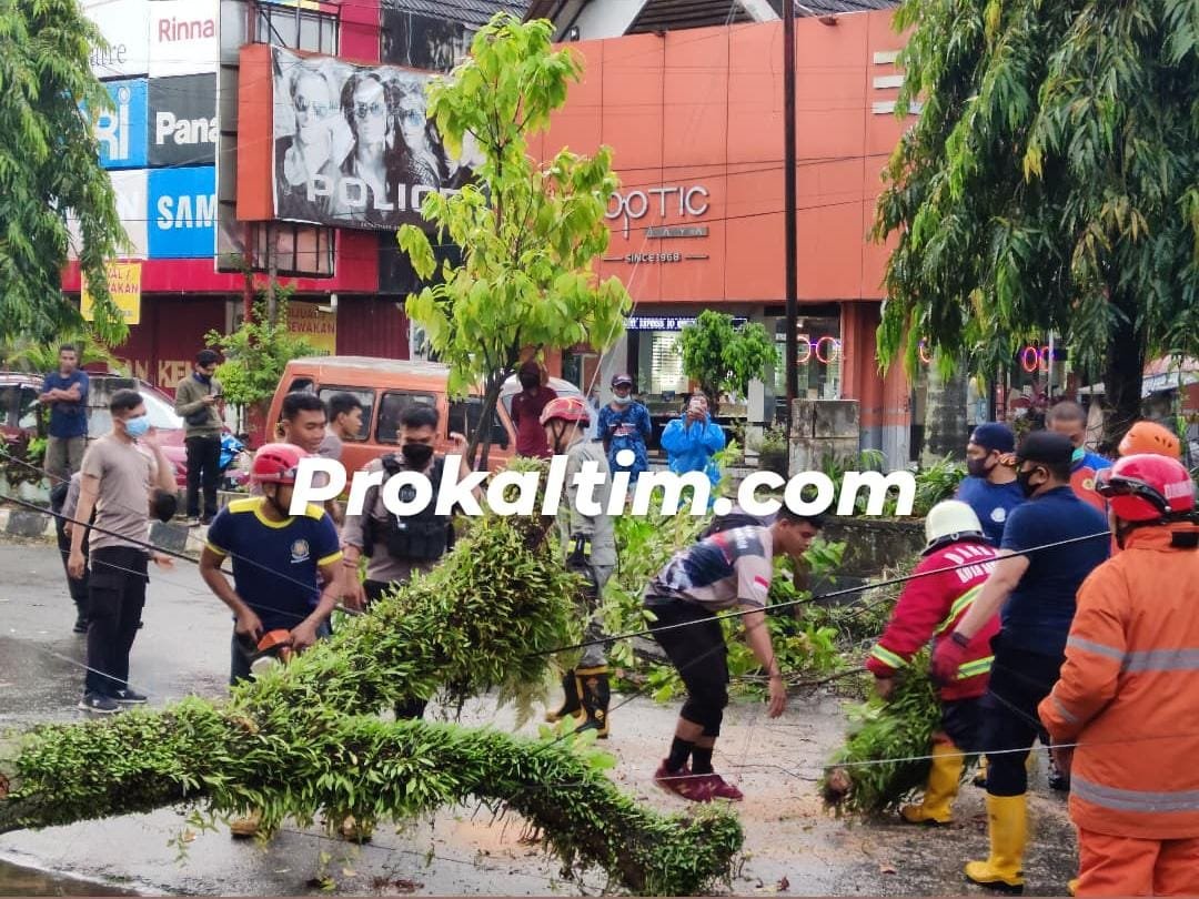 WhatsApp Image 2021 10 15 at 16.04.50 Hujan Deras, Pohon Tumbang, Rusak 2 Mobil PROKALTIM