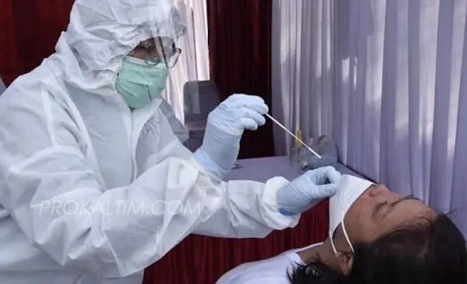 pcr Pemerintah Resmi Turunkan Harga PCR Rp275 Ribu PROKALTIM
