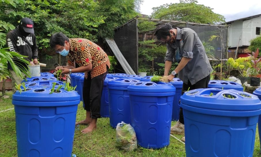 Inilah 9000 Ekor Budidaya Ikan Lele Dalam Ember Program Kecamatan Balkot