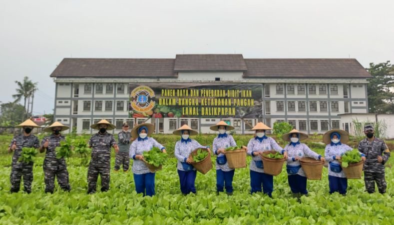 Dukung Ketahanan Pangan, Lanal Balikpapan Bersama Jalasenastri Panen Raya dan Penyebaran Bibit Ikan