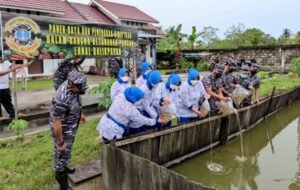 Dukung Ketahanan Pangan, Lanal Balikpapan Bersama Jalasenastri Panen Raya dan Penyebaran Bibit Ikan PROKALTIM 2 Screenshot 12 27 2021 11 22 01 AM Dukung Ketahanan Pangan, Lanal Balikpapan Bersama Jalasenastri Panen Raya dan Penyebaran Bibit Ikan PROKALTIM