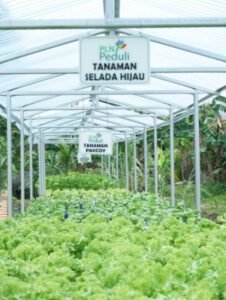 Screenshot 12 27 2021 3 40 04 PM Gandeng Ditjen Hortikultura Kementan, PLN Hadirkan Listrik Andal untuk Electrifying Agriculture PROKALTIM