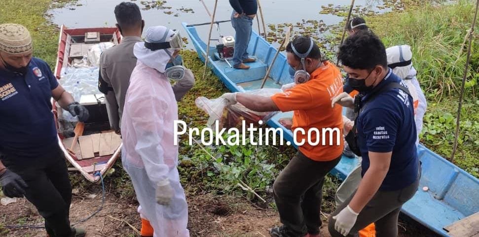 Polresta Samarinda Berkoordinasi Ke Puslabfor Polri, Soal Jasad Bayi Yang Ditemukan Membusuk Dalam Karung