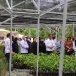 Persemaian Mentawir Bentuk Keseriusan Pemerintah Menata Lingkungan