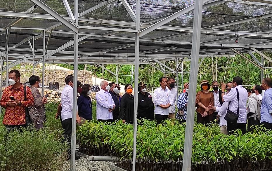 Persemaian Mentawir Bentuk Keseriusan Pemerintah Menata Lingkungan