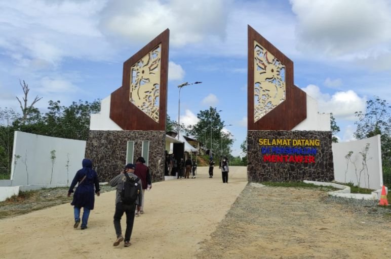 Kunjungi Kaltim Presiden Jokowi Akan Tinjau Persemaian Mentawir Hingga Hadiri Kongres PMKRI