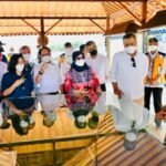 Presiden: Pembangunan Dasar IKN Telah Dimulai