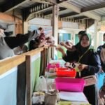 Pedagang Pasar Tradisional Rapak Plaza Kurban 21 Ekor Sapi dan 2 Ekor Kambing