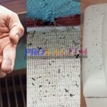 “Hujan” Serbuk Hitam, Resahkan Warga Sekitar Pabrik