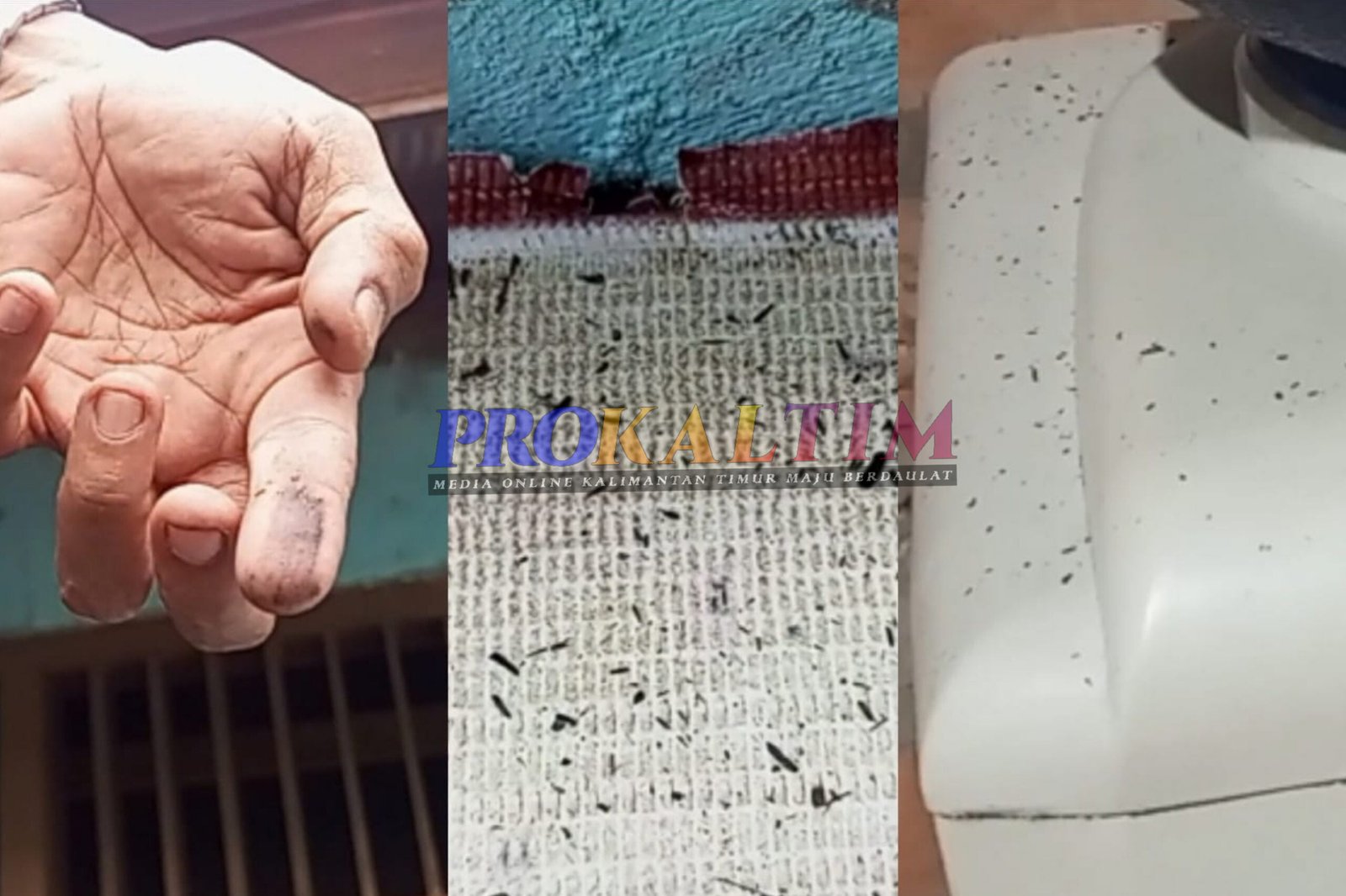 “Hujan” Serbuk Hitam, Resahkan Warga Sekitar Pabrik