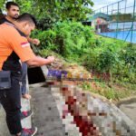Breaking News! Tragedi Berdarah Taman Cerdas , 1 Orang Kritis