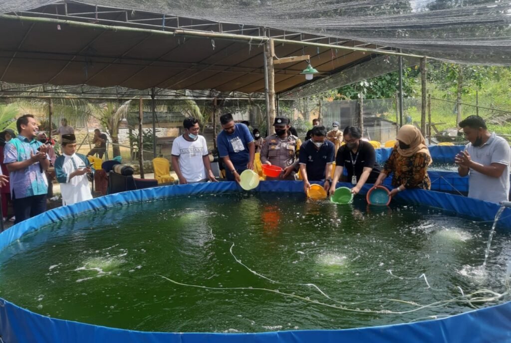 20220801 085513 Peduli Ketahanan Pangan, PT Petrosea Resmikan Pokdakan Ikhlas Mandiri PROKALTIM