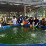 Peduli Ketahanan Pangan, PT Petrosea Resmikan Pokdakan Ikhlas Mandiri