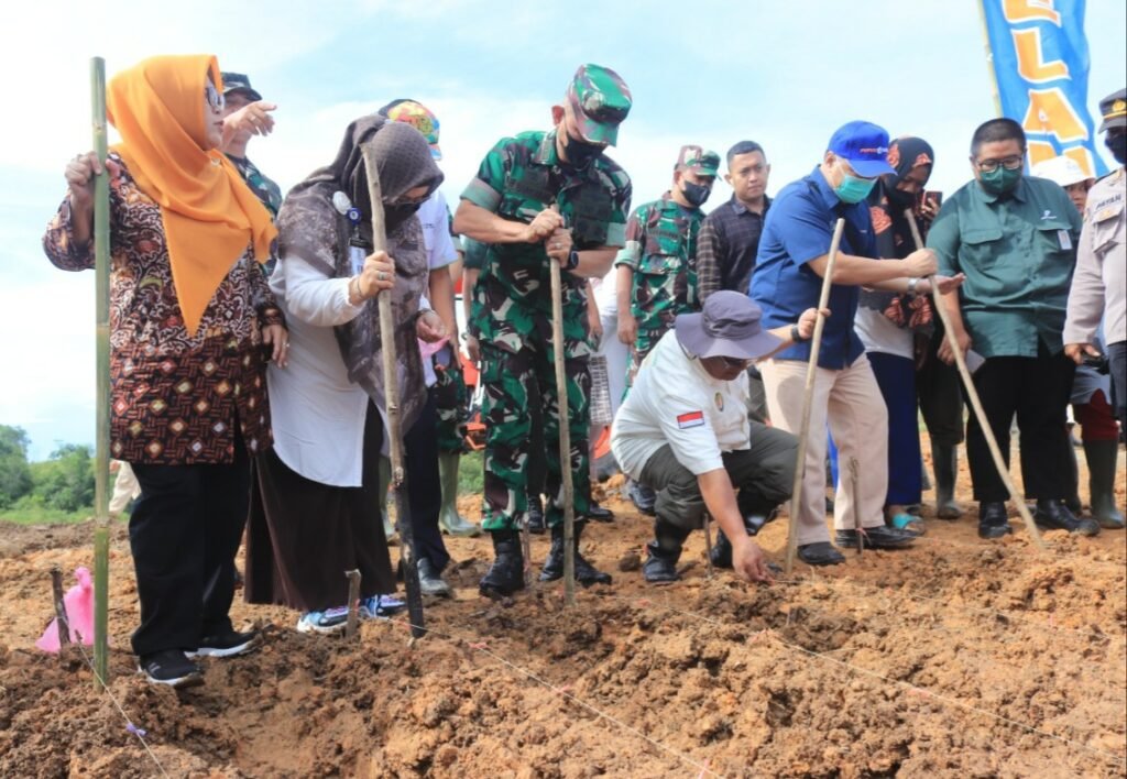 20220919 080431 Perkuat Sinergi Ketahanan Pangan, Kodam VI/Mlw Latihkan Pelatihan Tanaman Sorgum di Lahan Transad PROKALTIM