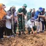 Perkuat Sinergi Ketahanan Pangan, Kodam VI/Mlw Latihkan Pelatihan Tanaman Sorgum di Lahan Transad