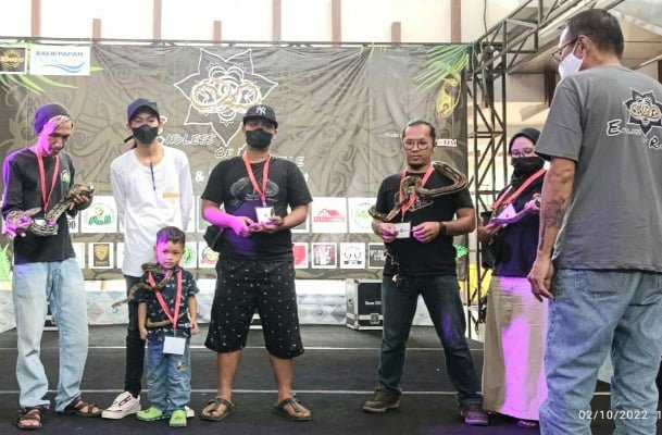 20221004 080333 Komunitas Barexo Sukses Gelar Event Endless of Reptile PROKALTIM