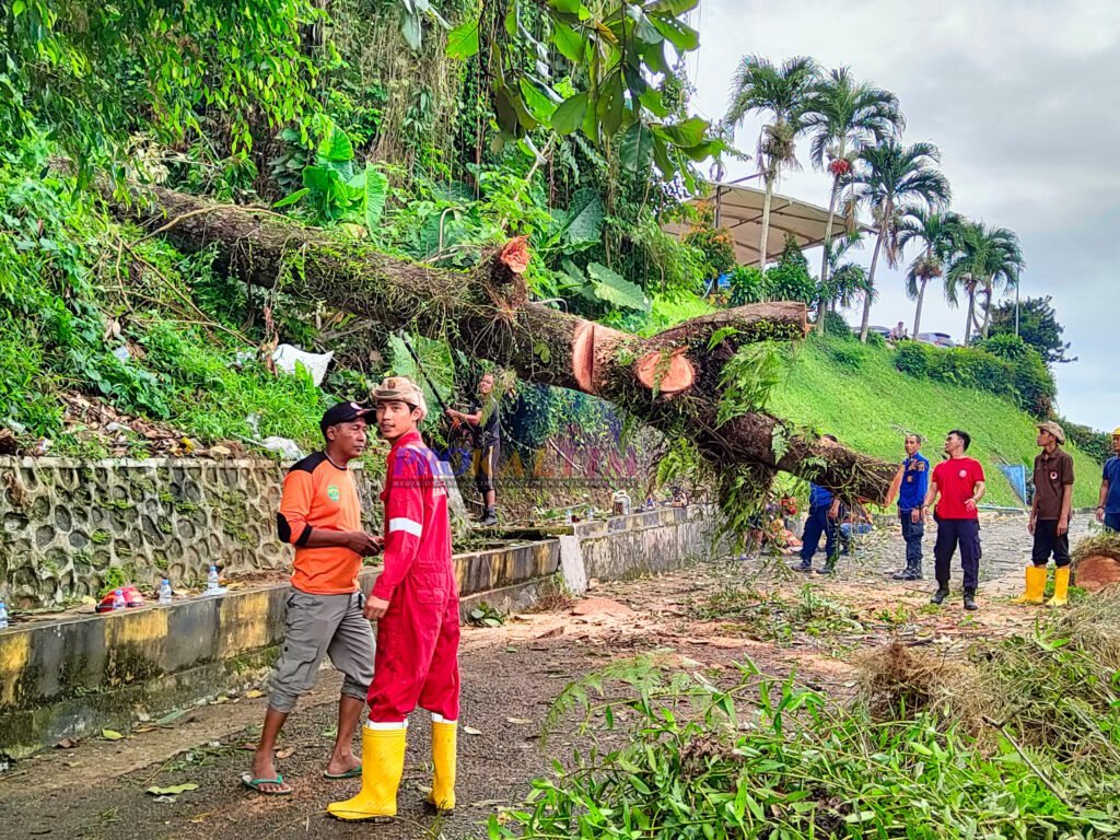InShot 20221013 194250321 Niat Istirahat, Iwan Tewas Kejatuhan Pohon Akibat Hujan Disertai Angin Kencang PROKALTIM