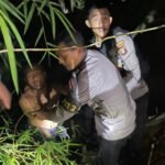 Preman Kampung Babak Belur Diamuk Masaa, Begini Ceritanya