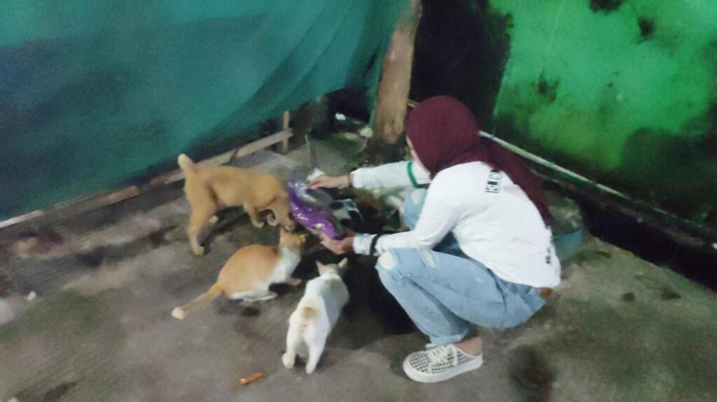 WhatsApp Image 2022 12 06 at 10.36.36 e1670294381362 Police Cat Community Balikpapan Peduli Terhadap Kucing Jalanan, Street Cat Feeding (SCF) PROKALTIM