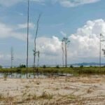 Kurangnya Kepengawasan Dari Pemerintah Daerah Terhadap Hutan Mangrove