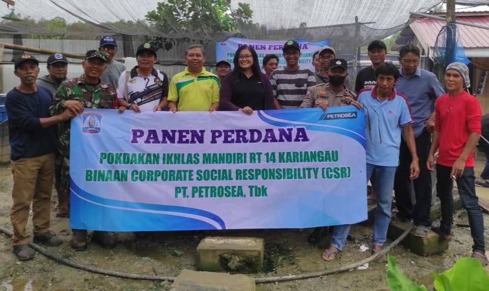 Gunakan Sistem Ras, Pokdakan Ikhlas Mandiri Sukses Panen Perdana Bersama PT Petrosea