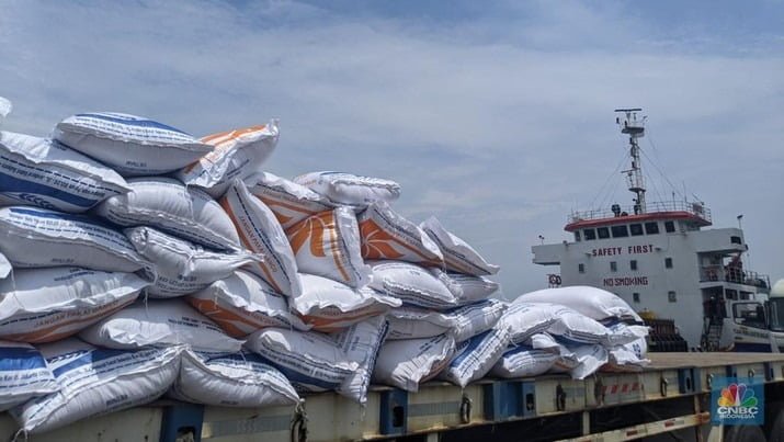 RI ‘Raksasa’ Beras Dunia, Tapi Impor Jutaan Ton di Era Jokowi