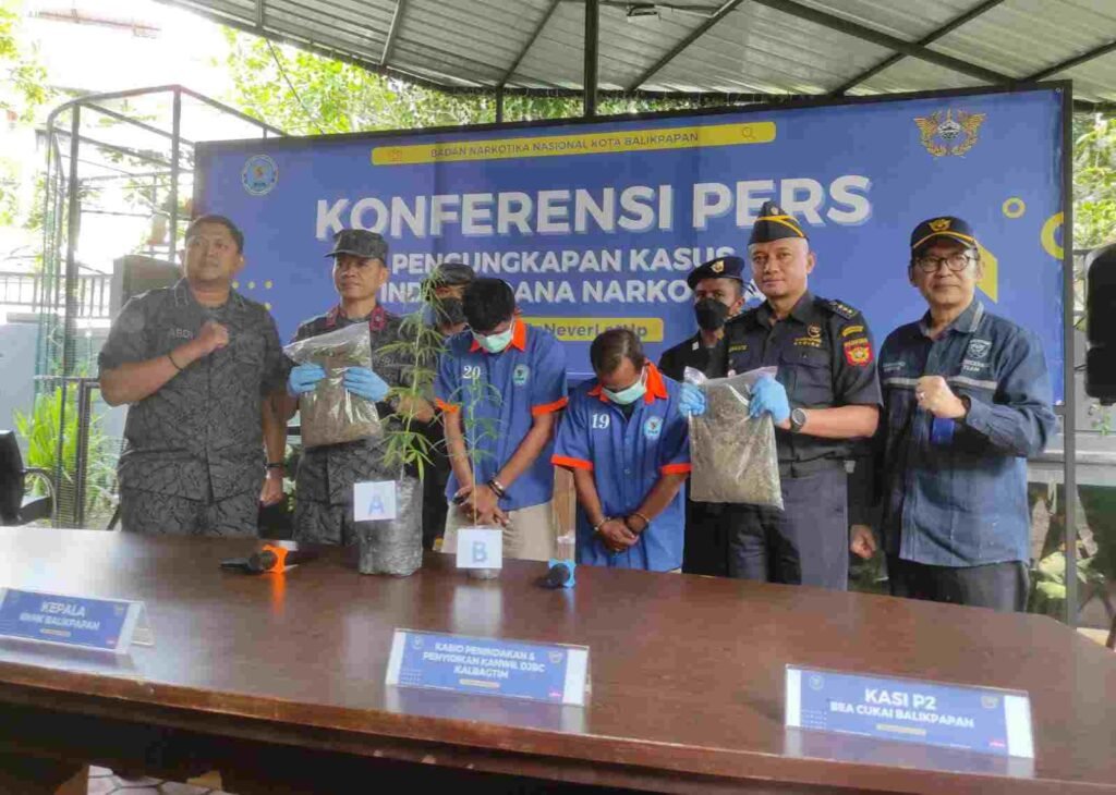 Dua Pria Terlibat Budidaya Tanaman Ganja dan Pengecer Ganja 1 Kg
