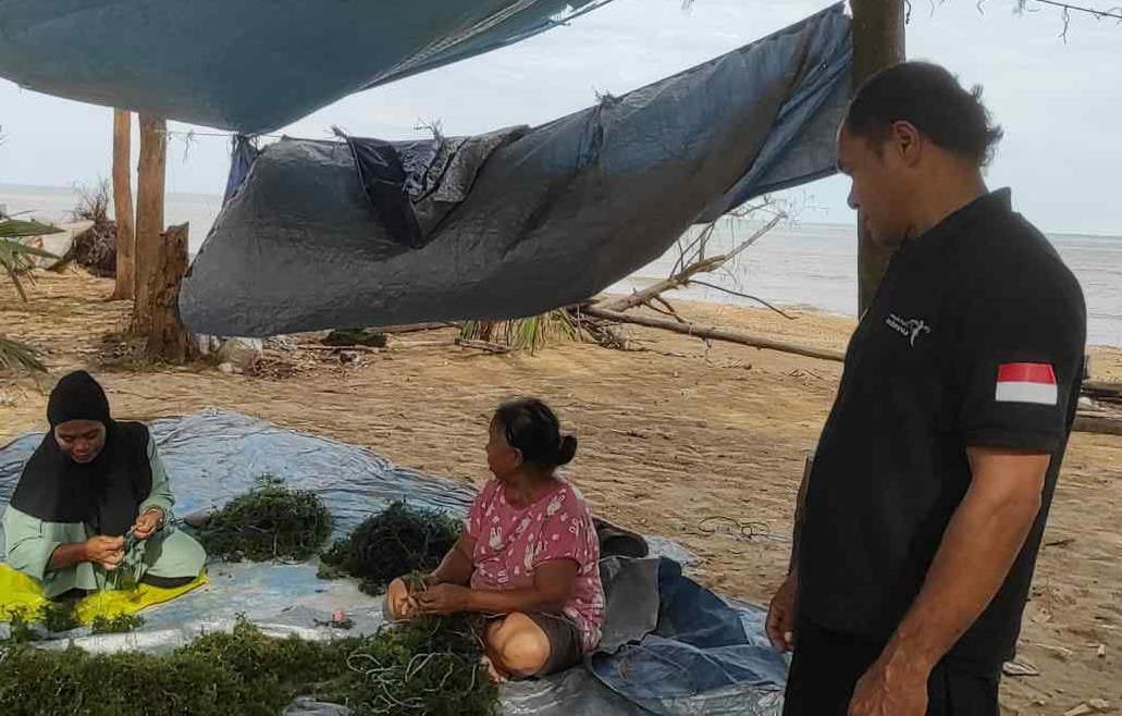 Budidaya Rumput Laut Cikal Bahari Mandiri Mampu Topang Perekonomian Masyarakat Lamaru