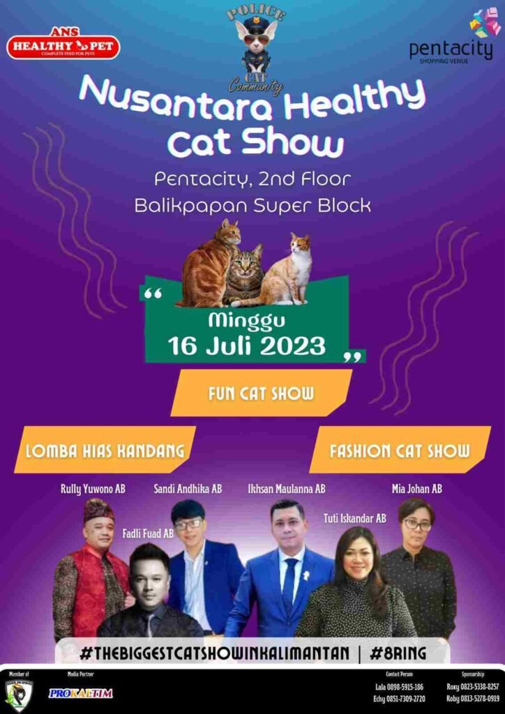 PCC Bakal Gelar Event Nusantara Healthy Cat Show, Berbagai Macam Lomba Kucing Akan Hadir Di BSB