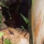 Darurat, Terjadi kebocoran pipa transmisi air baku diameter 400 mm steel, jalur Instaslasi Pengolahan Air Minum (IPAM) Kampung Damai, akibat kebocoran ini menyebabkan debit produksi IPA Kampung Damai tidak maksimal