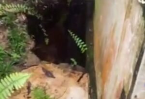 IPAM Kampung Damai Terjadi Penurunan Debit Produksi PROKALTIM 3 Darurat, Terjadi kebocoran pipa transmisi air baku diameter 400 mm steel, jalur Instaslasi Pengolahan Air Minum (IPAM) Kampung Damai, akibat kebocoran ini menyebabkan debit produksi IPA Kampung Damai tidak maksimal