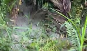 IPA Kampung Damai Terjadi Penurunan Debit Produksi PROKALTIM 2 IPA Kampung Damai Terjadi Penurunan Debit Produksi