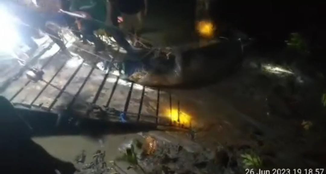 Warga Sangkulirang di Terkam Buaya Saat Mencari Siput, Tim SAR Temukan Jasad di Perut Buaya