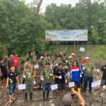 Peringati Hari Mangrove Sedunia dan Dukung Pengurangan Emisi Karbon, PT Pertamina Hulu Sanga Sanga Tanam Mangrove di Sekitar Area Operasi